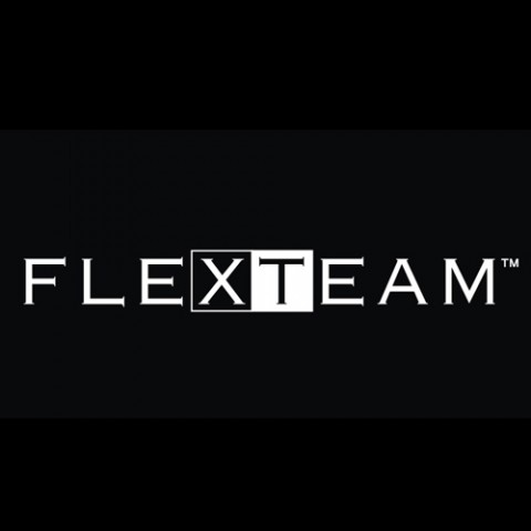 flexteam-logo-sarracino-mobili-480x480
